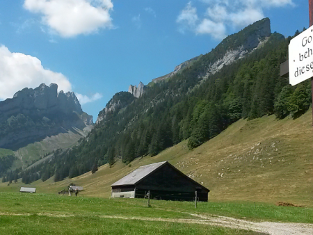 Gedanken und Worte für Zwischendurch