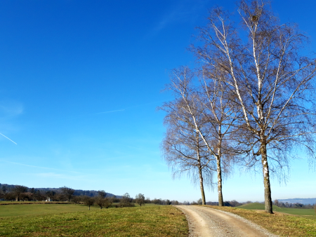 Gedanken und Worte für Zwischendurch